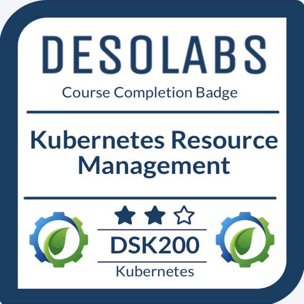 DSK 200